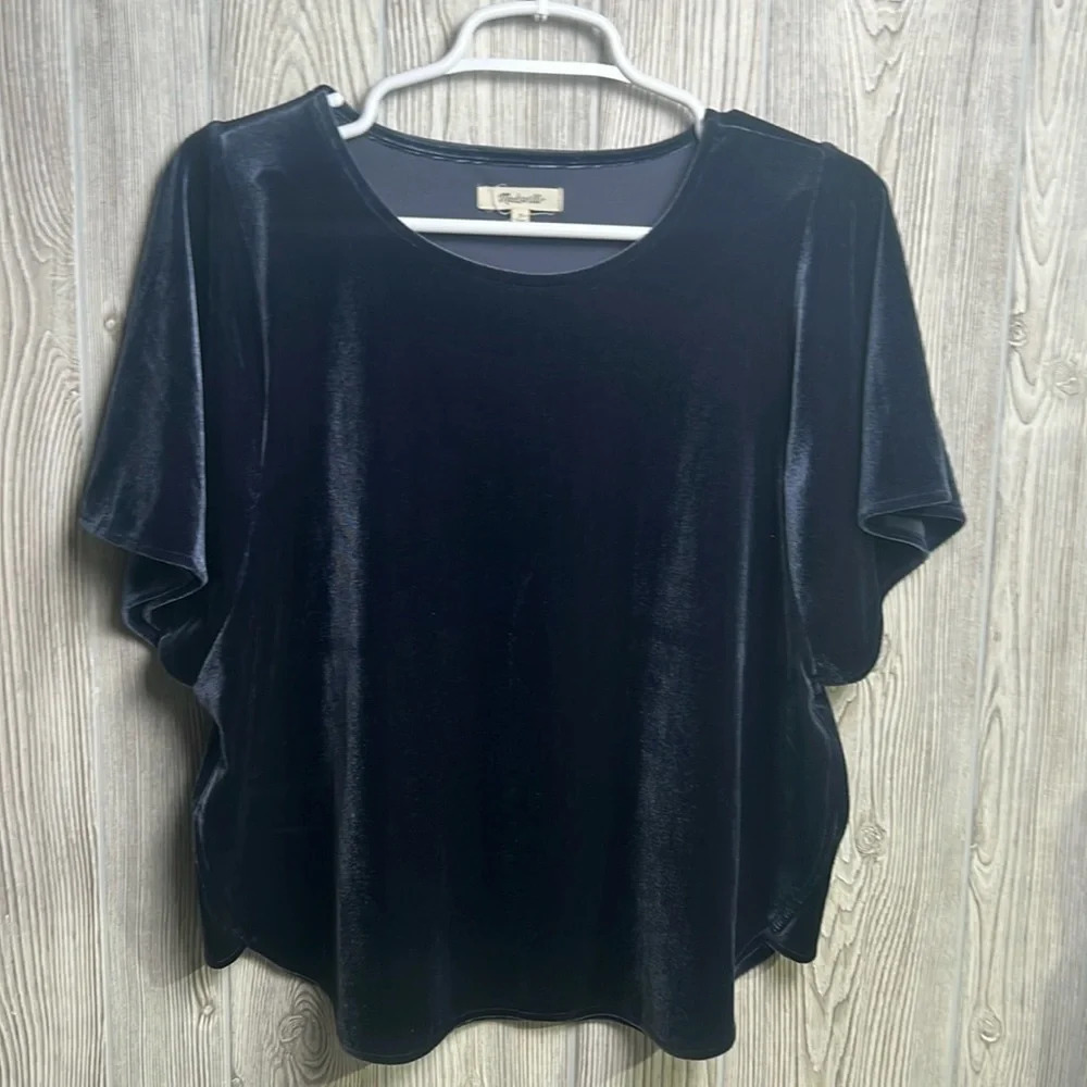Madewell Women's Blue Velvet Butterfly Top Size Medium